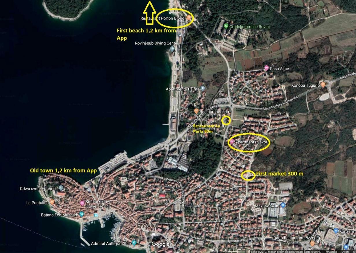 Javor Rovinj